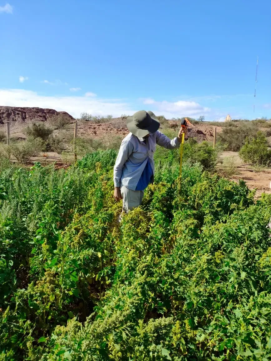 Foto Secundaria 1.webp
