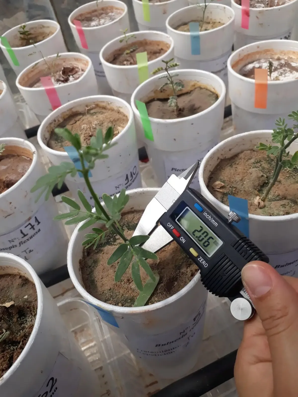 Foto Secundaria 2.webp