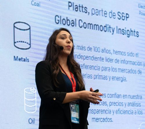 Foto del evento Litio en Sudamérica 35