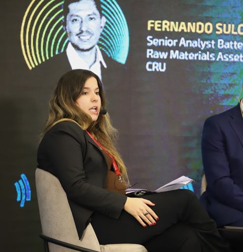 Foto del evento Litio en Sudamérica 59