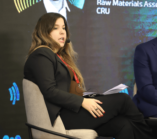 Foto del evento Litio en Sudamérica 35