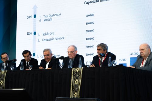 Foto del evento Litio en Sudamérica 74