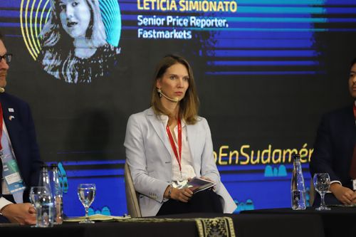 Foto del evento Litio en Sudamérica 5