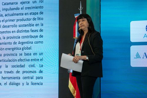 Foto del evento Litio en Sudamérica 95