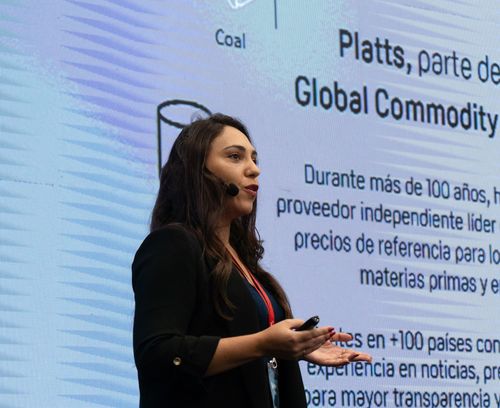 Foto del evento Litio en Sudamérica 188