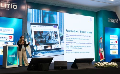 Foto del evento Litio en Sudamérica 187
