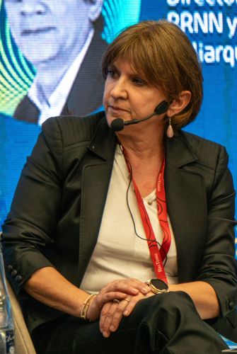 Foto del evento Litio en Sudamérica 177