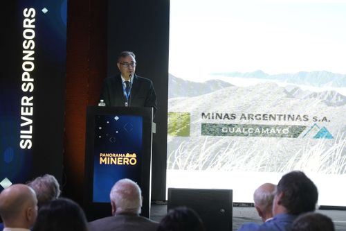 Galería | Oro, Plata y Cobre 196