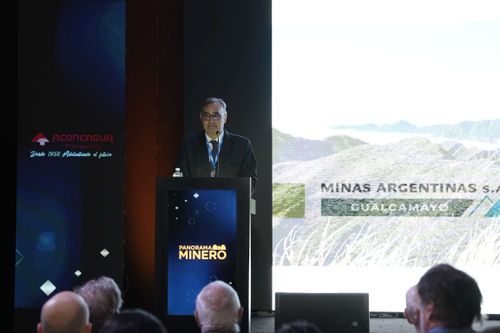 Galería | Oro, Plata y Cobre 201