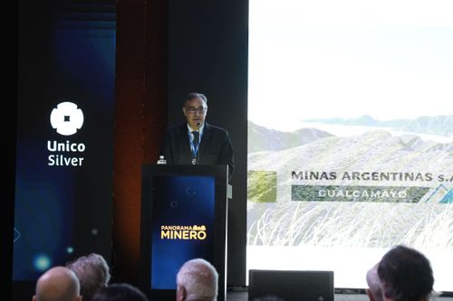 Galería | Oro, Plata y Cobre 238