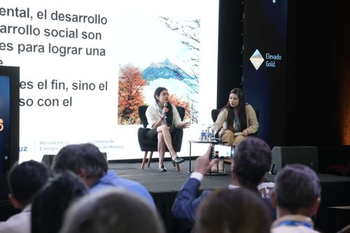 Galería | Oro, Plata y Cobre 208