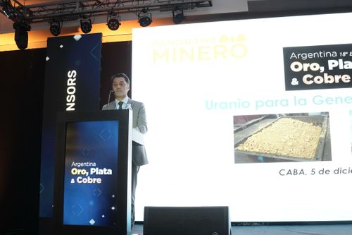 Galería | Oro, Plata y Cobre 245