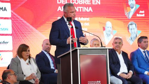 Foto de Argentina Cobre 131