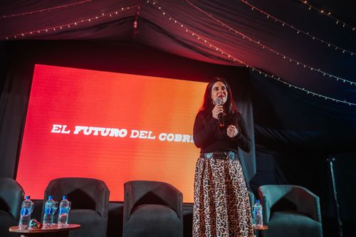 Foto de Argentina Cobre 34