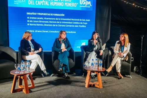 Foto de Argentina Cobre 10