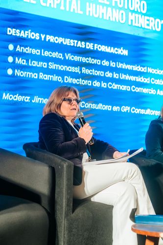 Foto de Argentina Cobre 12